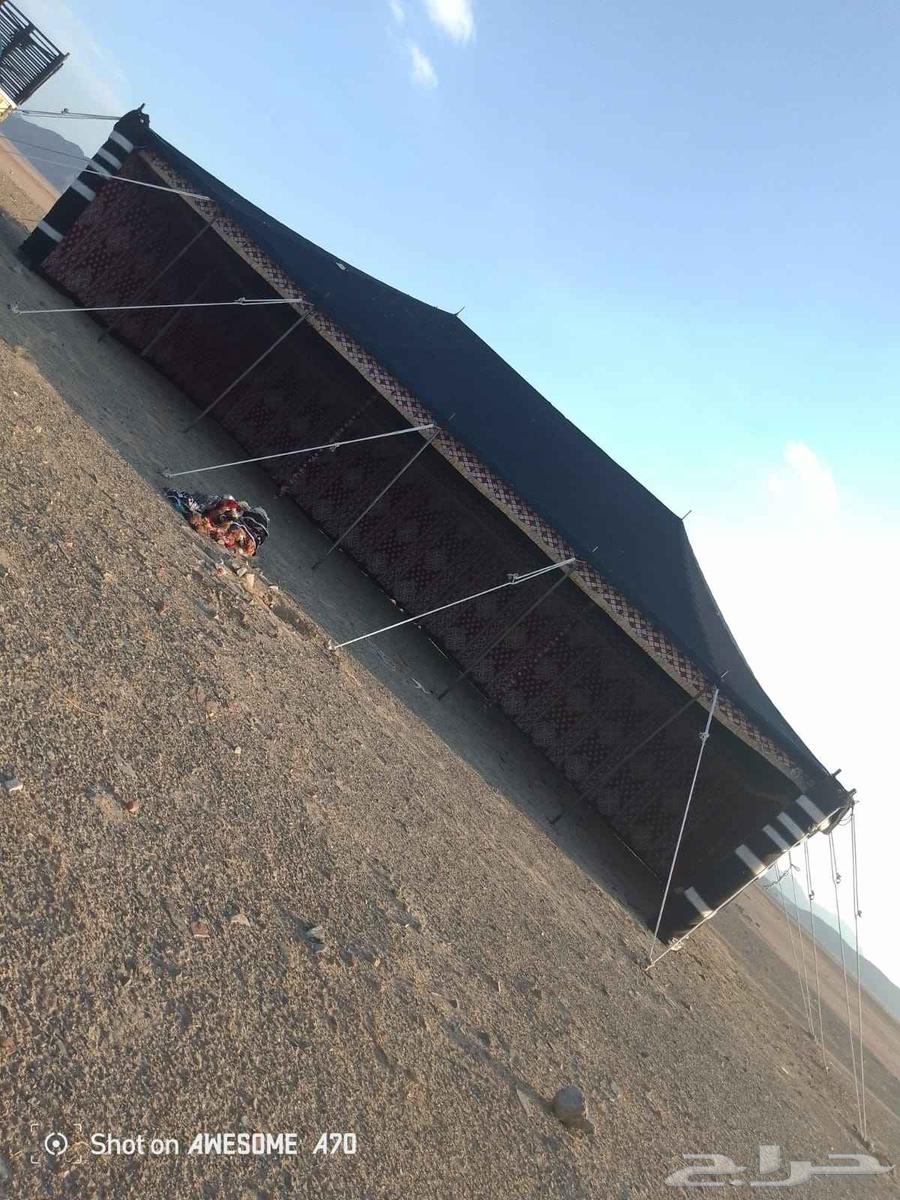 بيوت شعر وخيام64579787358338112