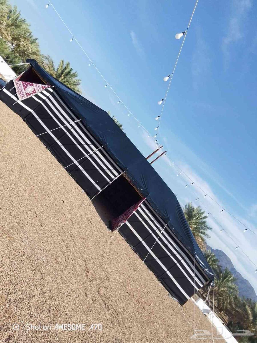 بيوت شعر وخيام64579787358338111