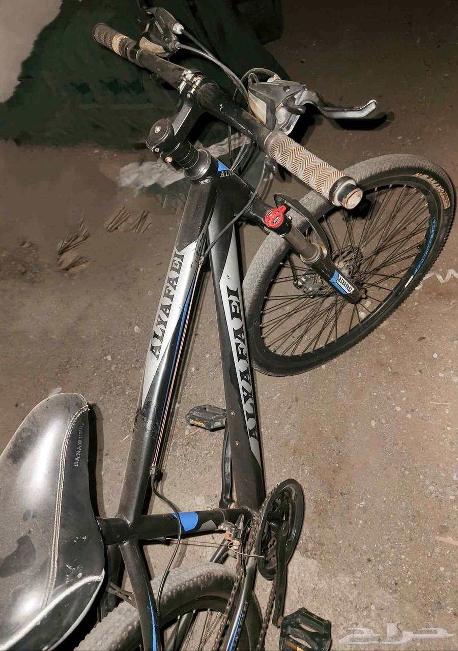 سيكل رياضي الفالح مقلس 24بحالة جيدة64588396259458110