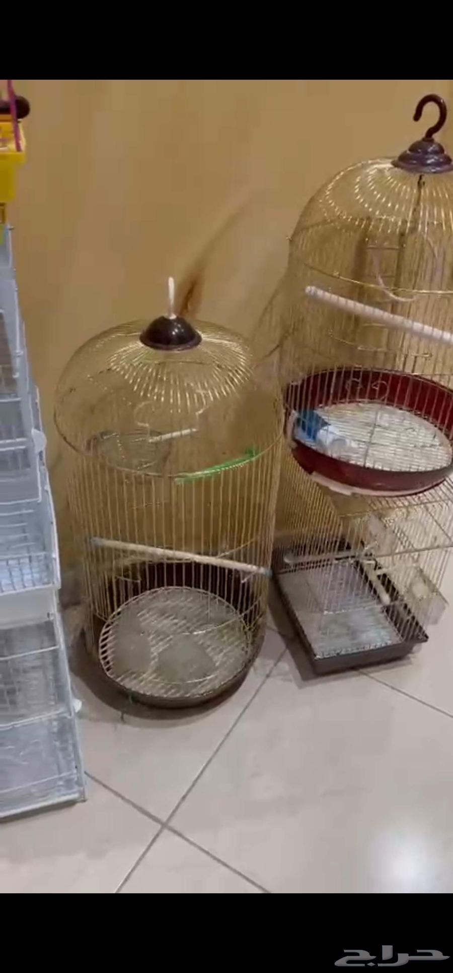 اقفاص طيور للبيع. عدد 9 اقفاص   مرجيحة للطيور64580949690498110