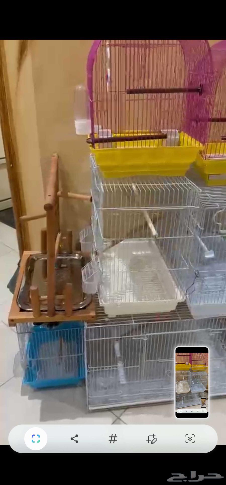 اقفاص طيور للبيع. عدد 9 اقفاص   مرجيحة للطيور64580949690498112