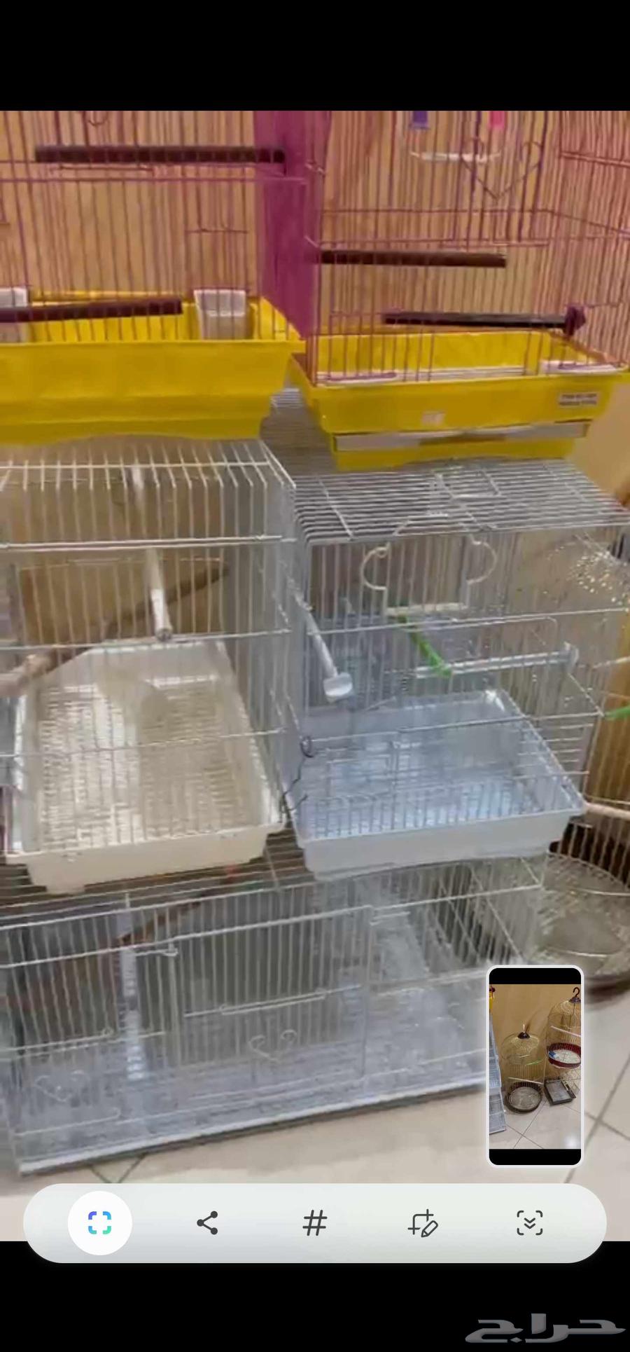 اقفاص طيور للبيع. عدد 9 اقفاص   مرجيحة للطيور64580949690498111