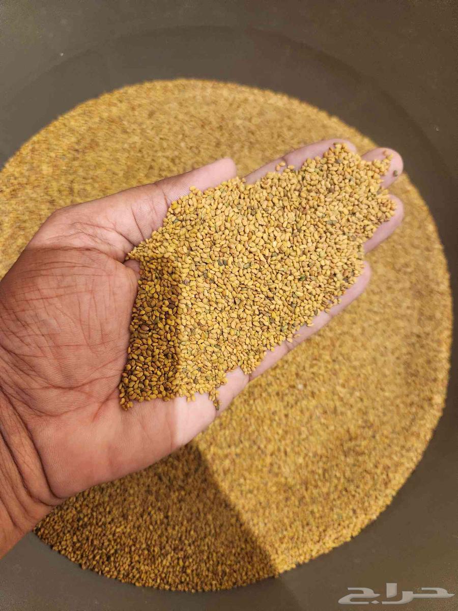 برسم حساوي سعر الكيلو 100 ريال نظيف64585167225601110