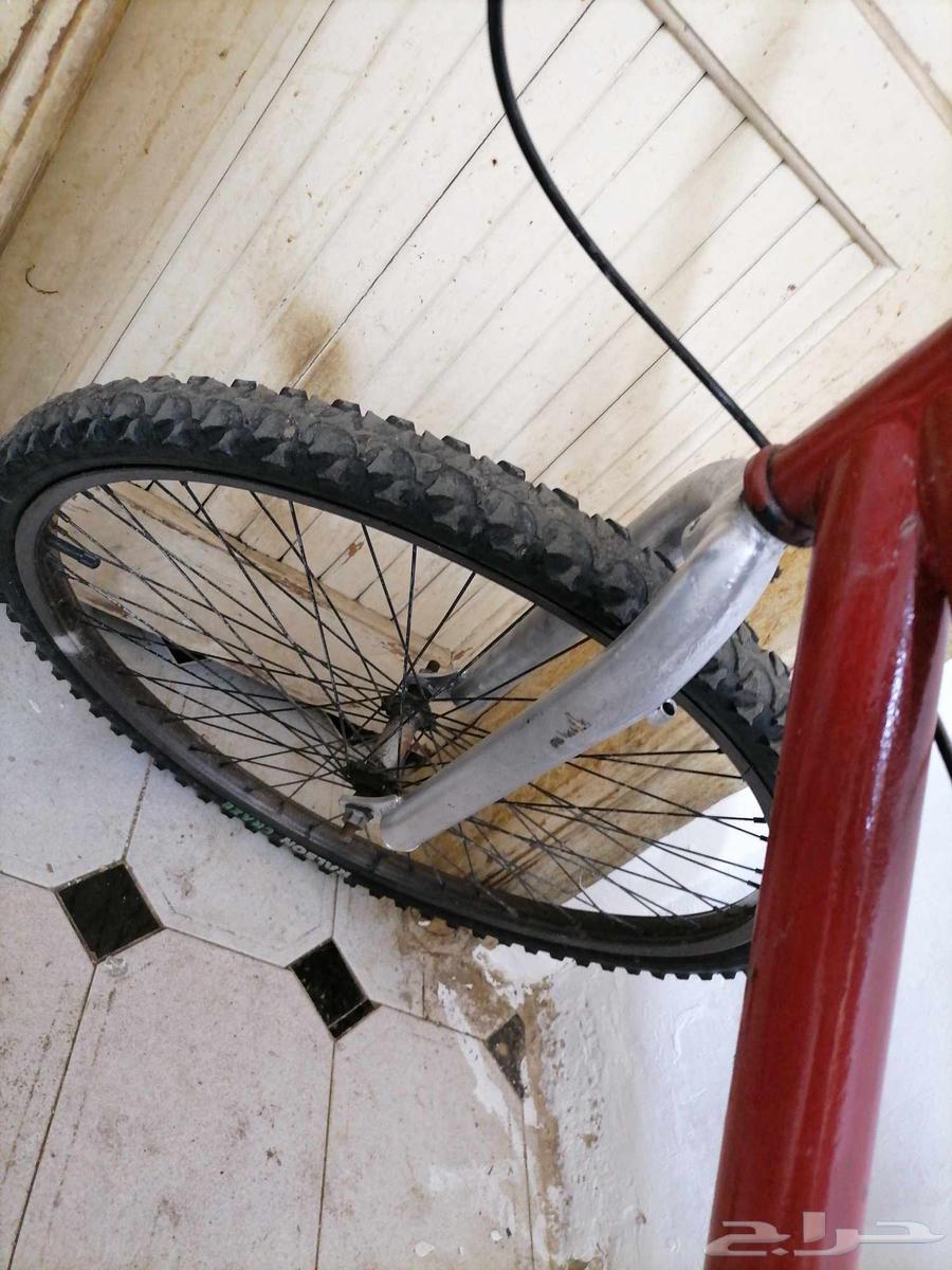 Rambow and Cobra Bicycle64584911985027111