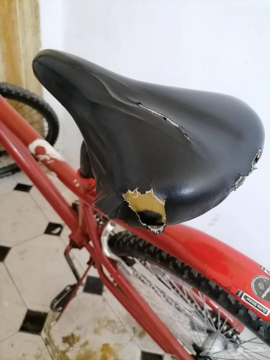 Rambow and Cobra Bicycle64584911985027114