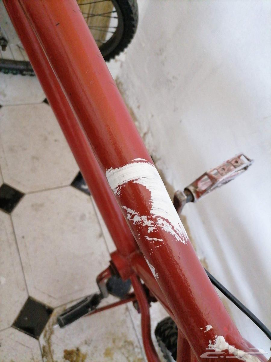 Rambow and Cobra Bicycle64584911985027112