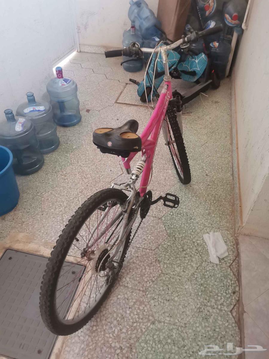 سيكل للبيع64584883933187111