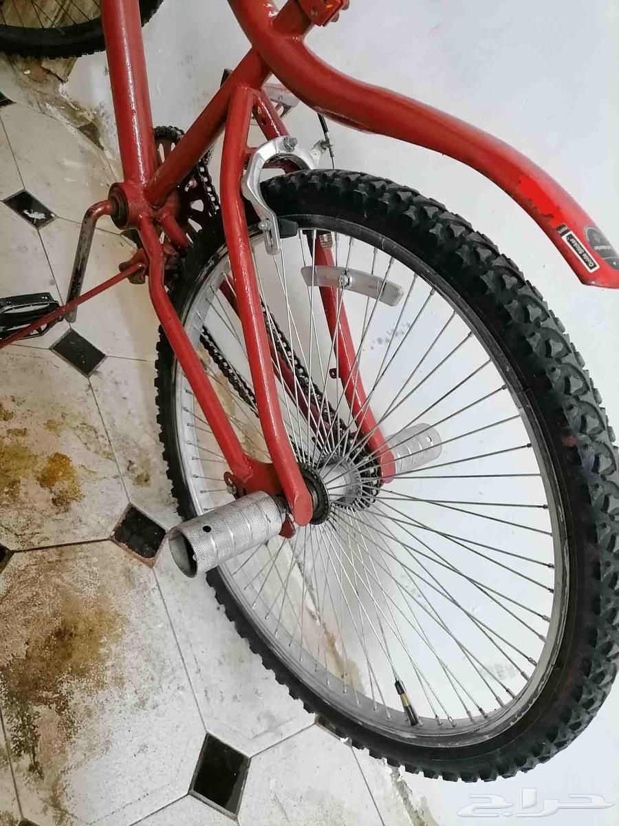 Rambow and Cobra Bicycle64584911985027113