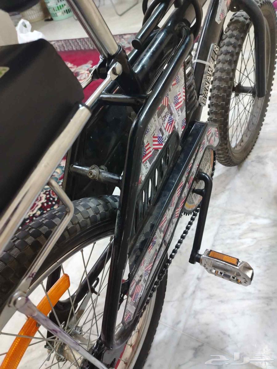 سيكل رامبو مقاس 20 اندنوسي الموقع جده64586401630337113