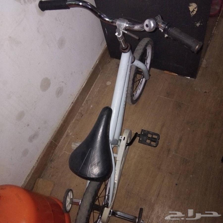 درفت وسياكل للبيع64581856057986113