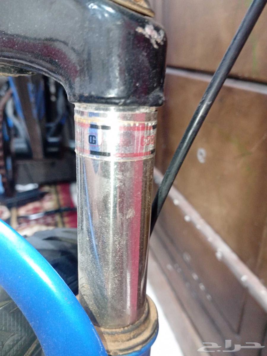 سيكل سكاي لاين نادر 202164584248994945110