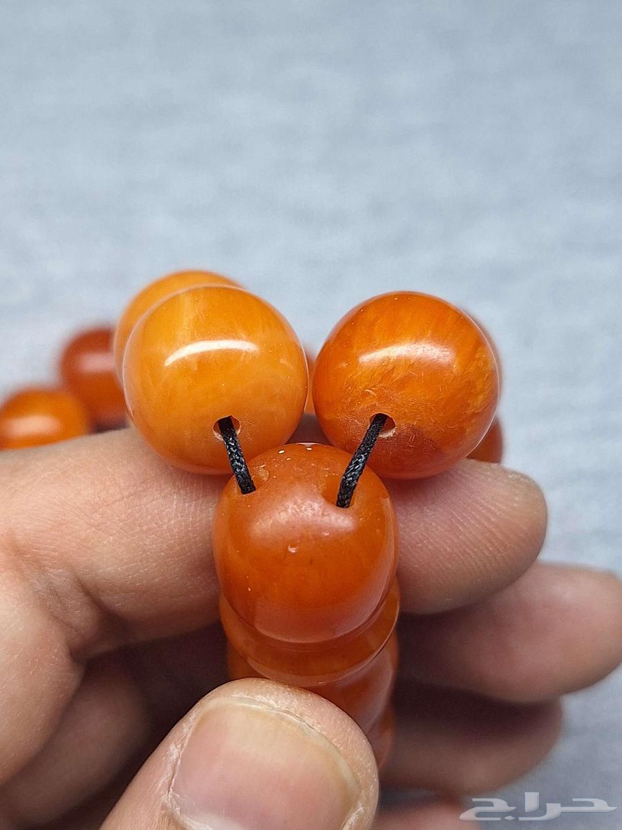 سندلوس الماني نوادر64584333634179111