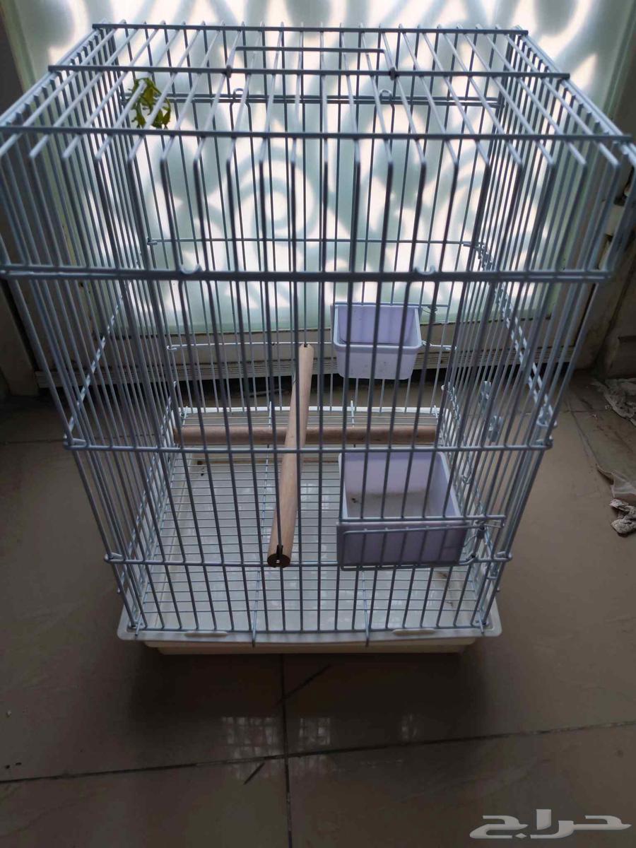 قفص طيور كاسكو حديد متين وزن ثقيل شبة جديد64583753494275111