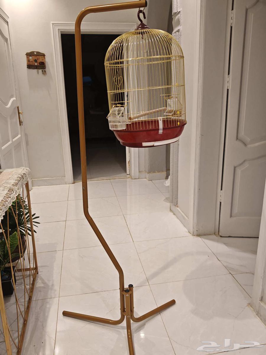 كروان كوكتيل للبيع64580772154625112