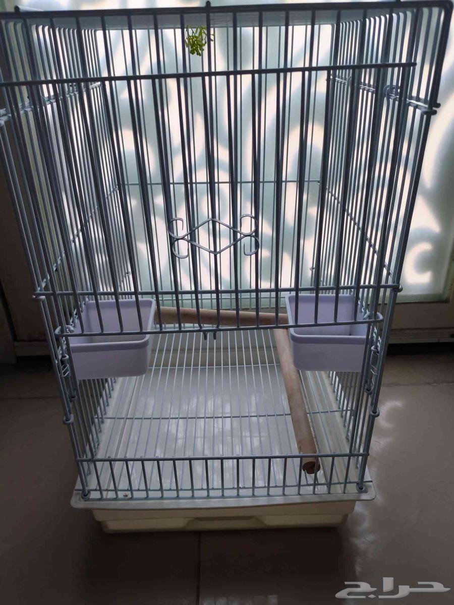 قفص طيور كاسكو حديد متين وزن ثقيل شبة جديد64583753494275110