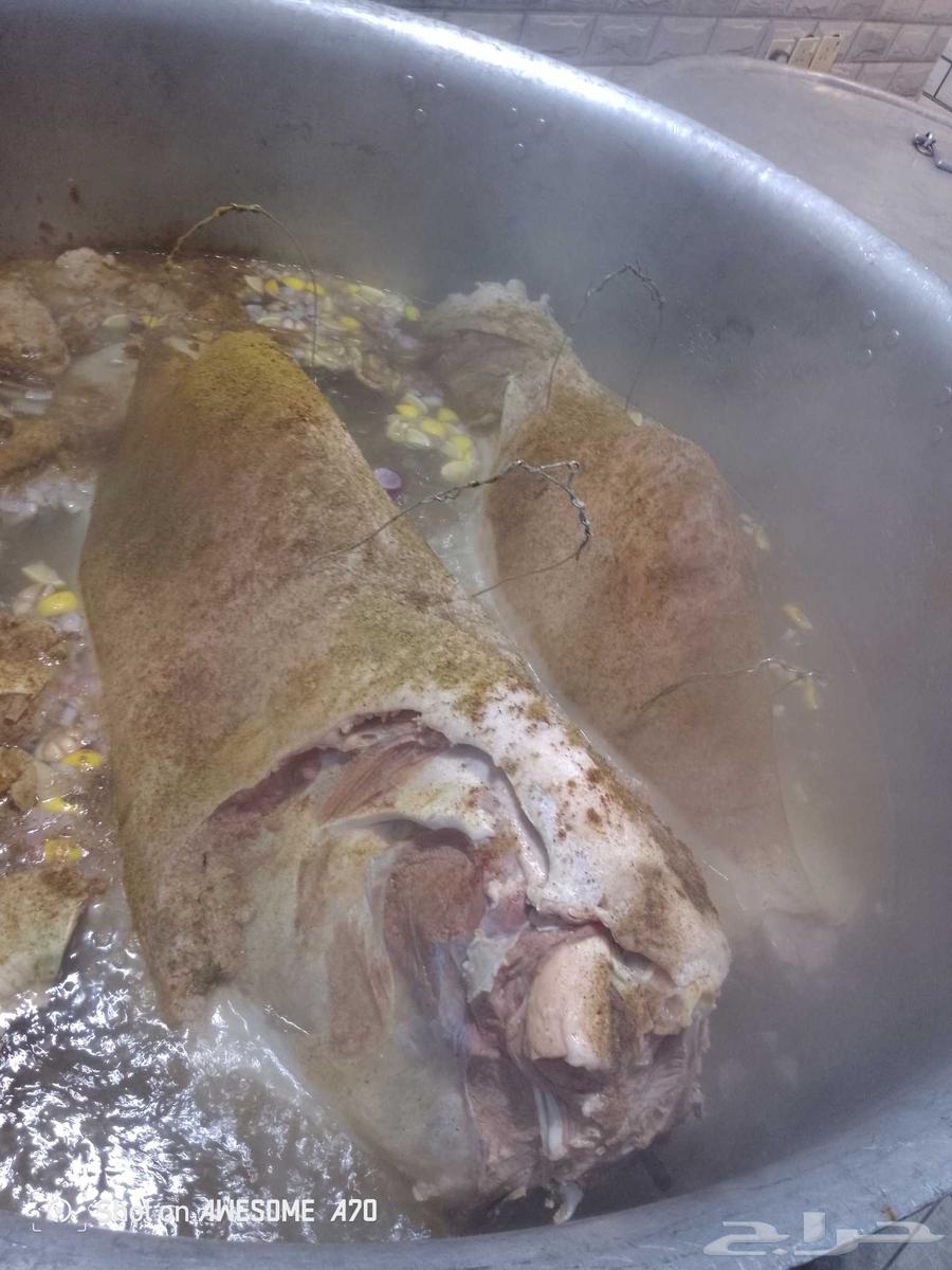 طباخ ذبايح حشؤان متنقل اتصل نصل64155340565891113