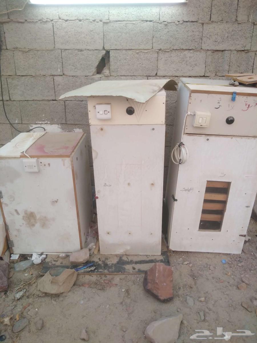 3 فقاسات يدويه مختلف الاحجام بيع جمله او تفريد الوحده 500 ري64585280932099110