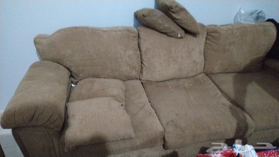 كنب بني64583401048065112