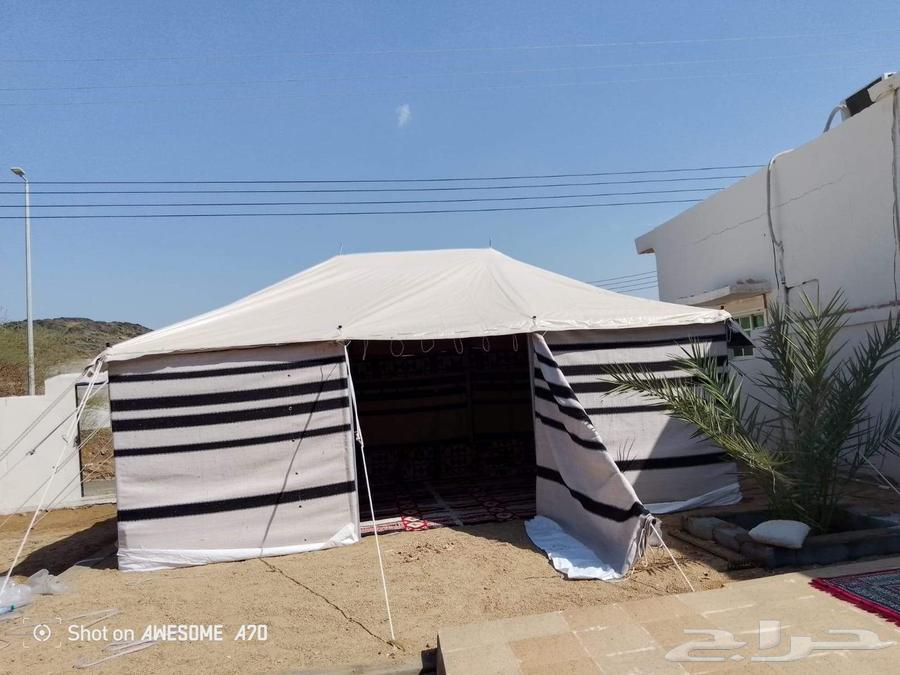 بيوت شعر وخيام64579787358338114