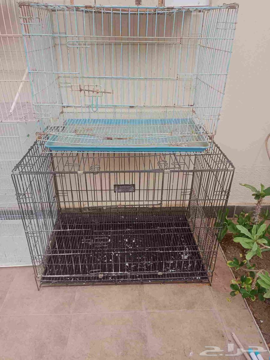 قفص قطط وتقدر تستعمله للطيور64584291746435110