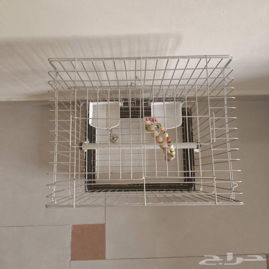 قفص عصافير - بغباء - حجم كبير64583386642050111