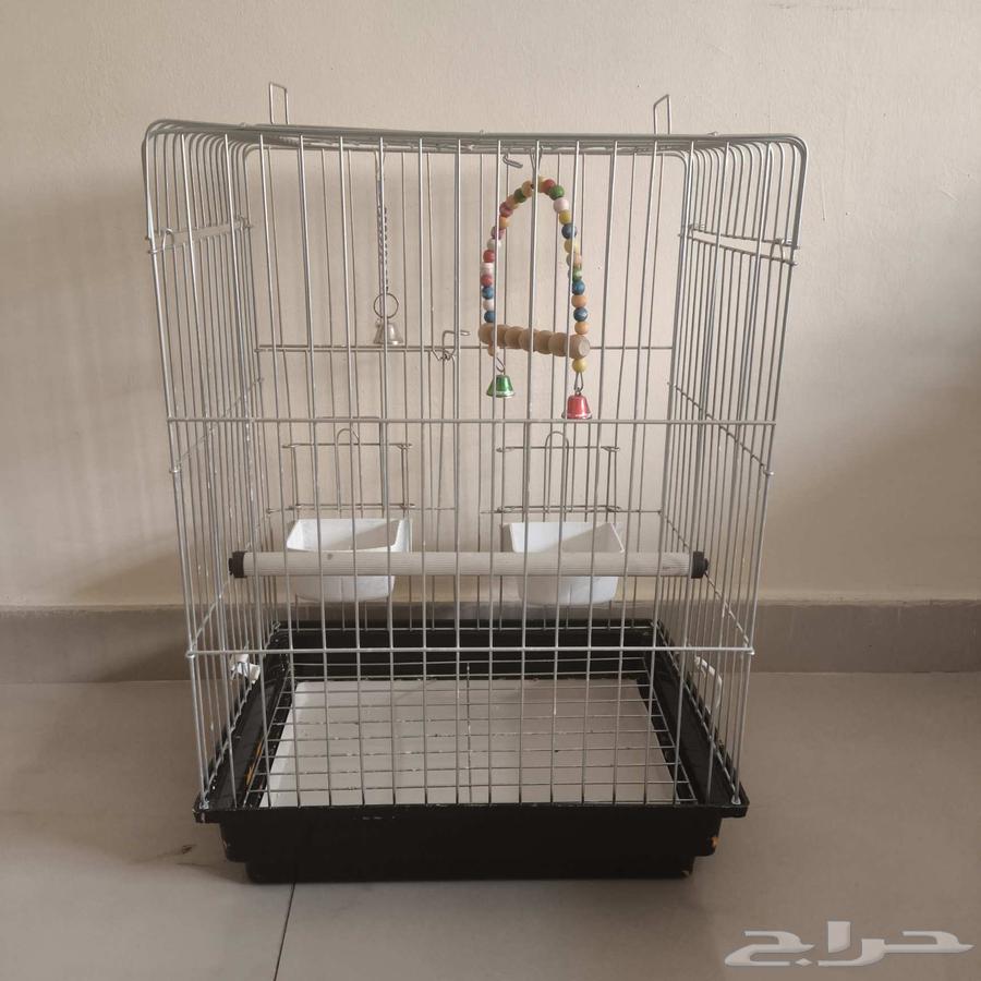 قفص عصافير - بغباء - حجم كبير64583386642050112