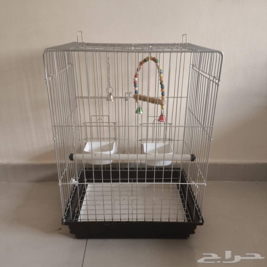 قفص عصافير - بغباء - حجم كبير64583386642050110