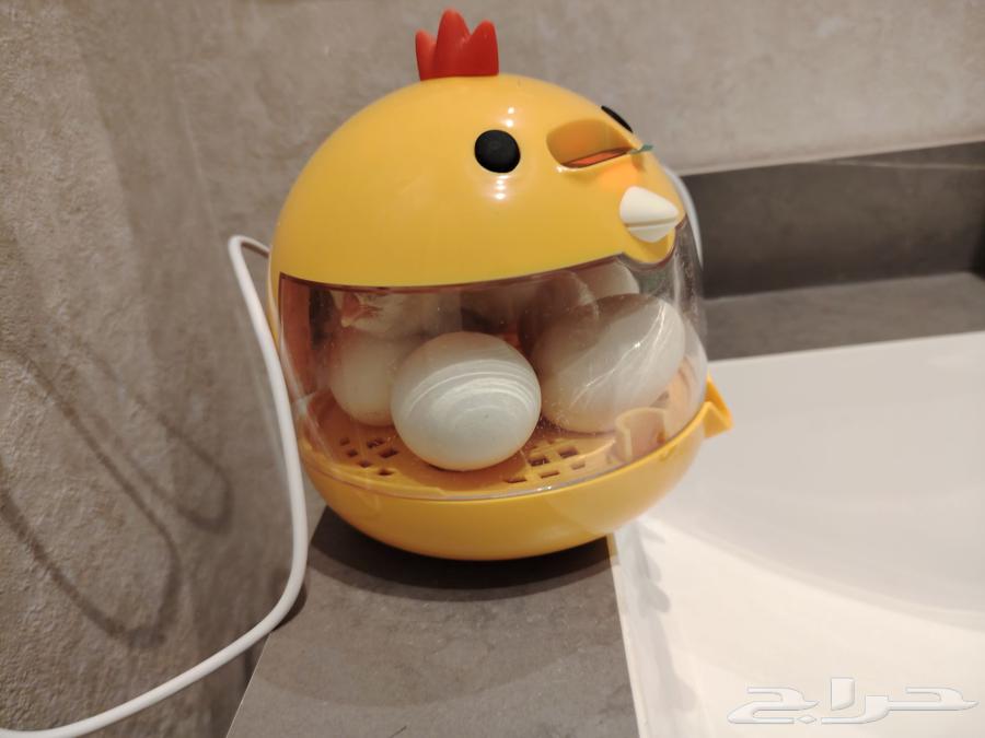 تم البيع فقاسة صغيرة64581979886722111