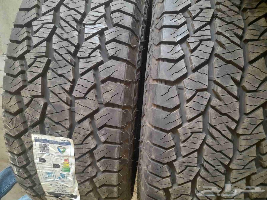 كفرات هنكوك نص حجري جديد في جديد تاريخ نهايت 23 باستكراتها64582103741186111