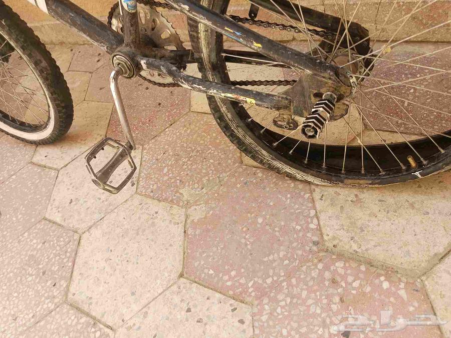 سيكل كوبرا مقاس 20او21للبيعع64582090248193111