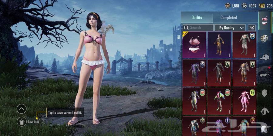 حساب ببجي للبيع64583639855746110