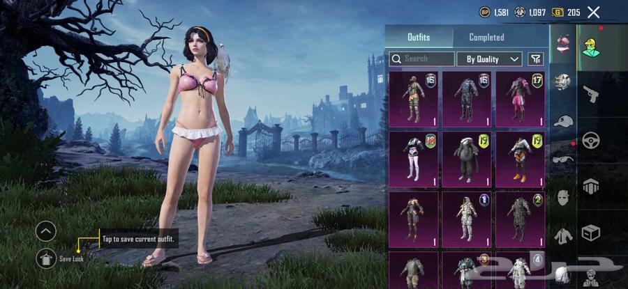 حساب ببجي للبيع64583639855746113