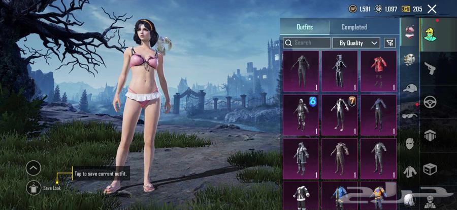 حساب ببجي للبيع64583639855746111