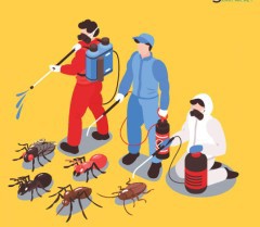 تنظيف منازل مجالس فلل شقق خزانات بسكاكا64156487601923111