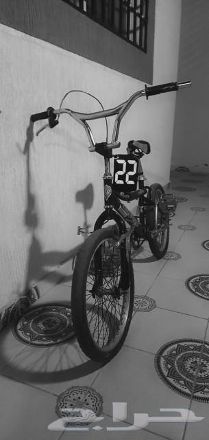 Cobra Cycle64588011740033110