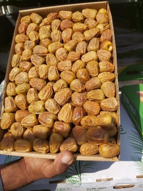 Royal Mafatil Dates 45 SAR64580308304131113