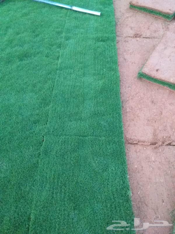 ثيل طبيعي يبني وفرني وسي200064587120282113111