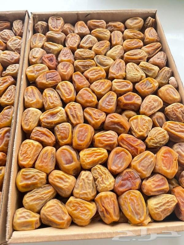 Royal Mafatil Dates 45 SAR64580308304131112