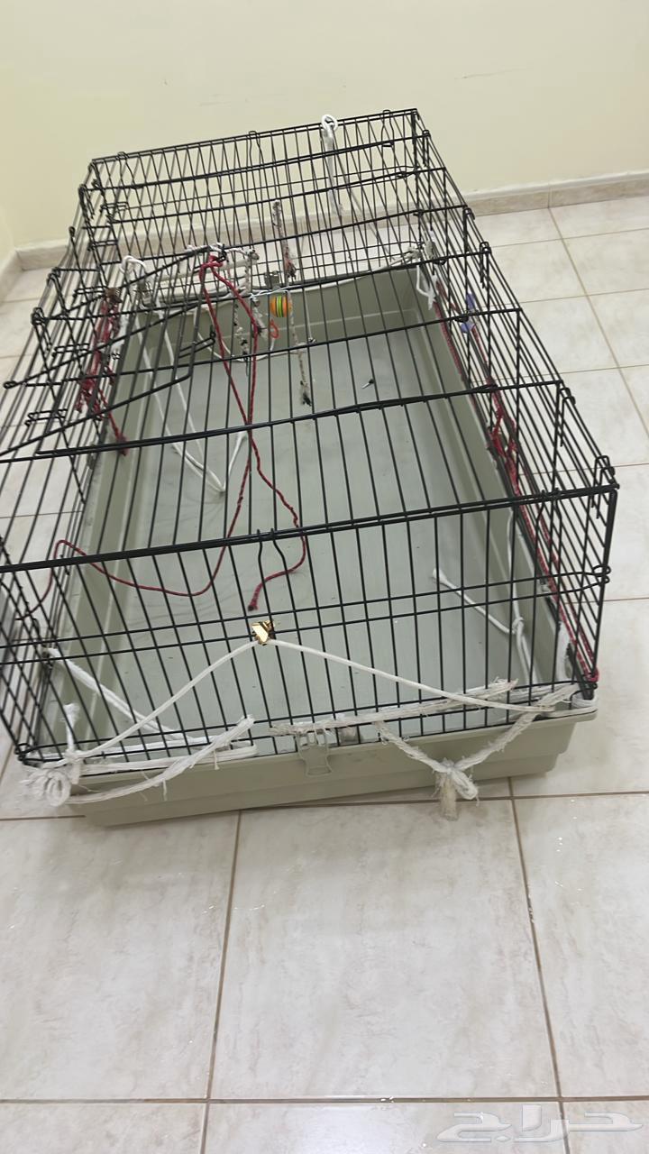قفص للبيع استعمال بسيط الحجم كبير64583343826946110