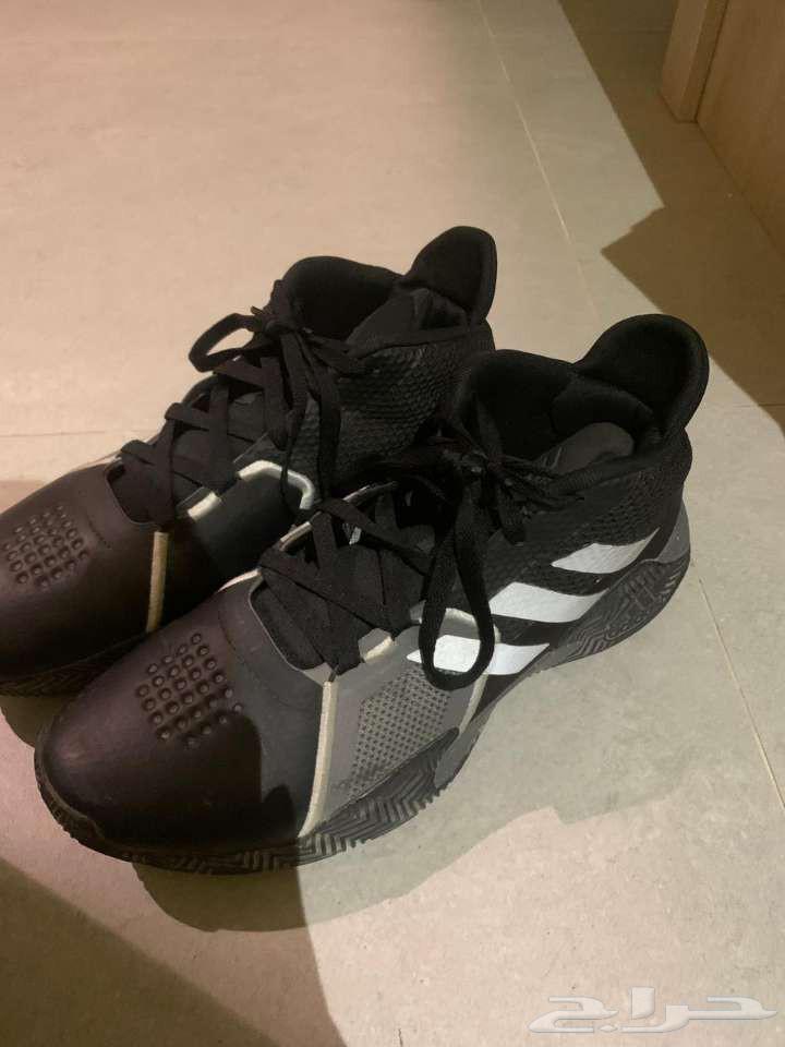 شوز أديداس مقاس 4464587528298243111