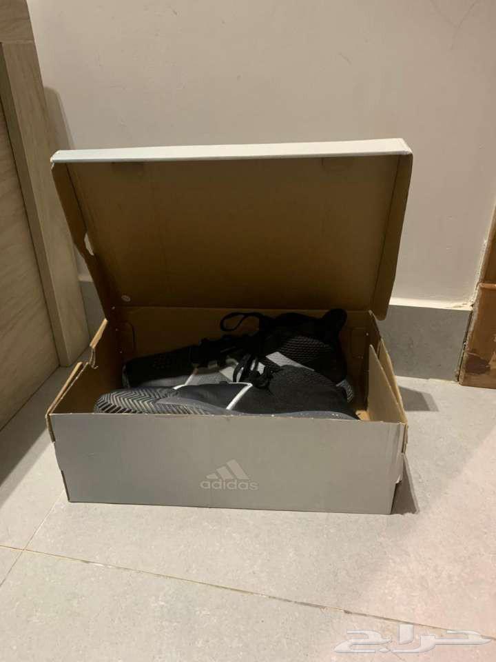 شوز أديداس مقاس 4464587528298243113