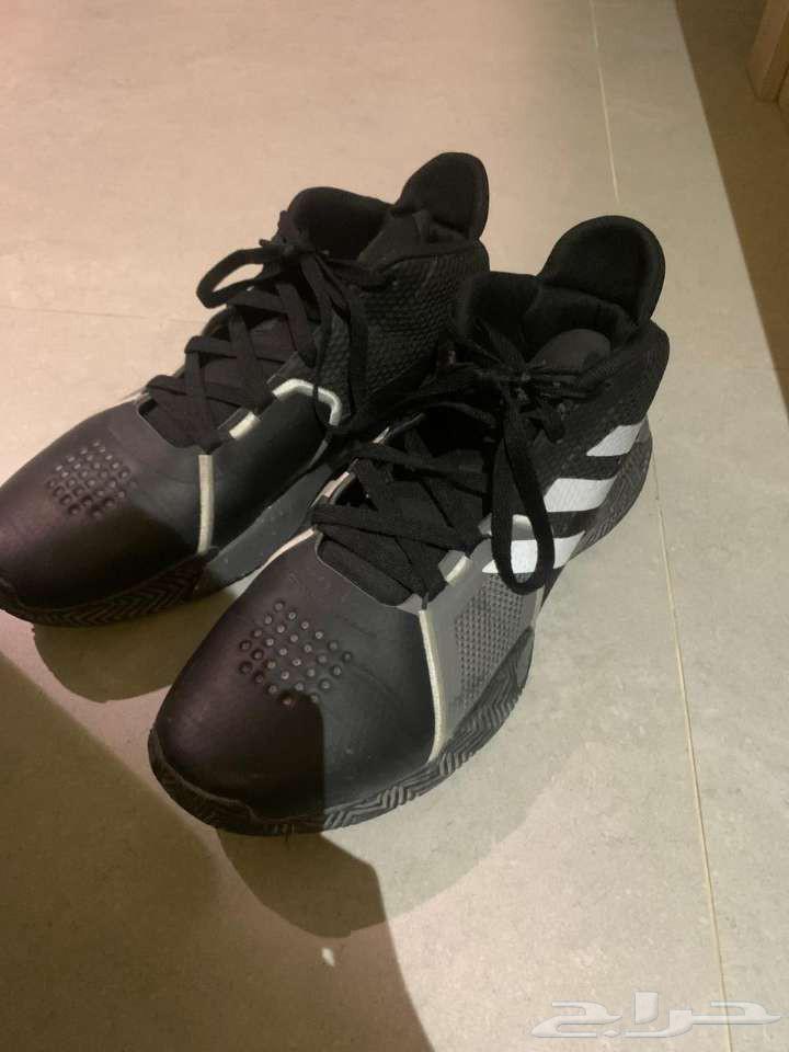 شوز أديداس مقاس 4464587528298243114