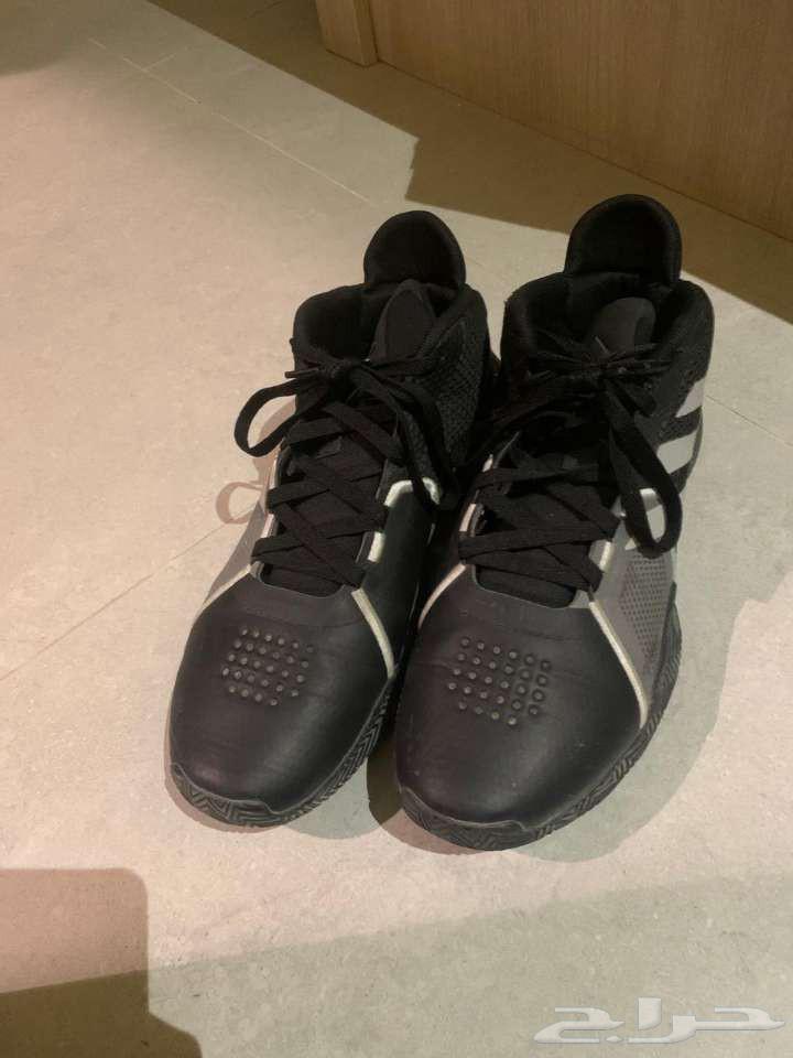 شوز أديداس مقاس 4464587528298243112