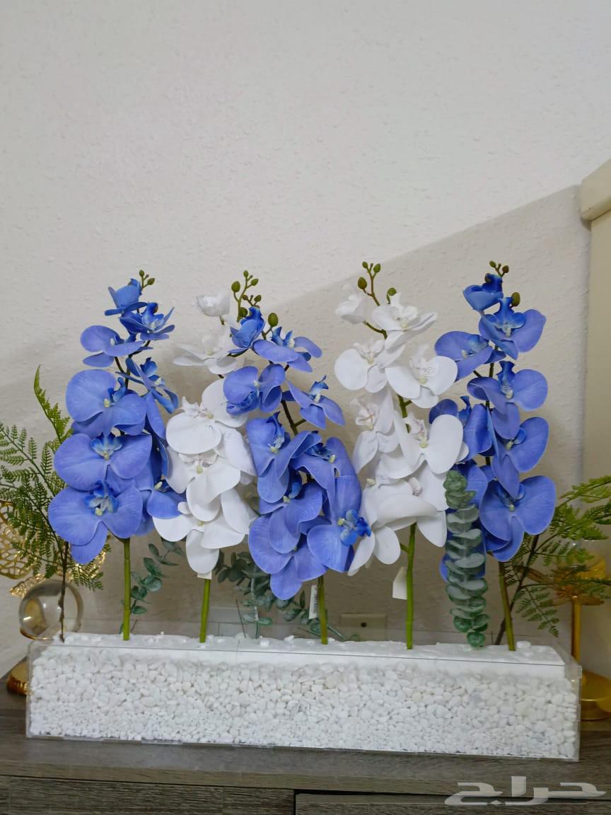 ستااند للبيع64581732435203110