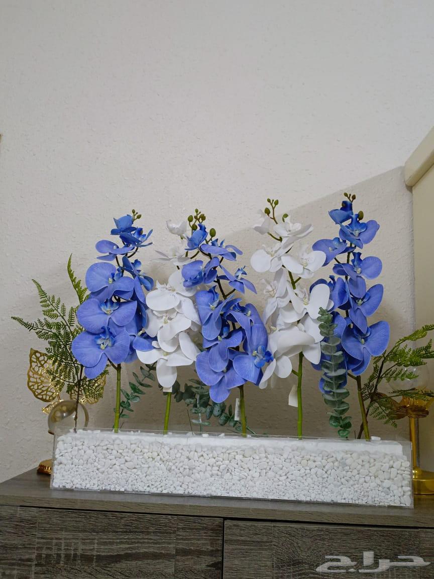 ستااند للبيع64581732435203111