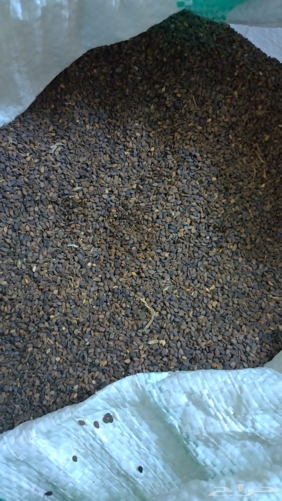 أكياس سمسم 50 إنتاج جديد البيع بالجملة الكيس 60064582979370883111