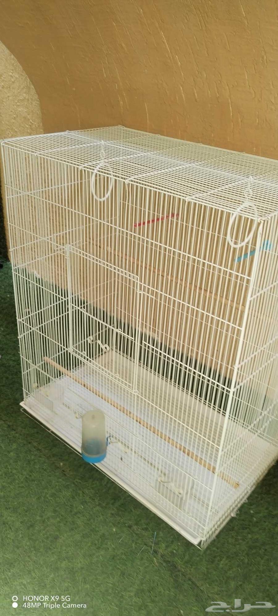 فقص طيور كبير64586514387202112