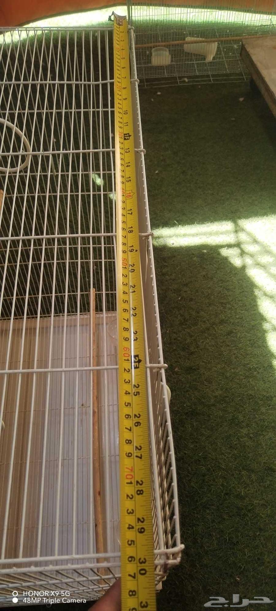 فقص طيور كبير64586514387202114