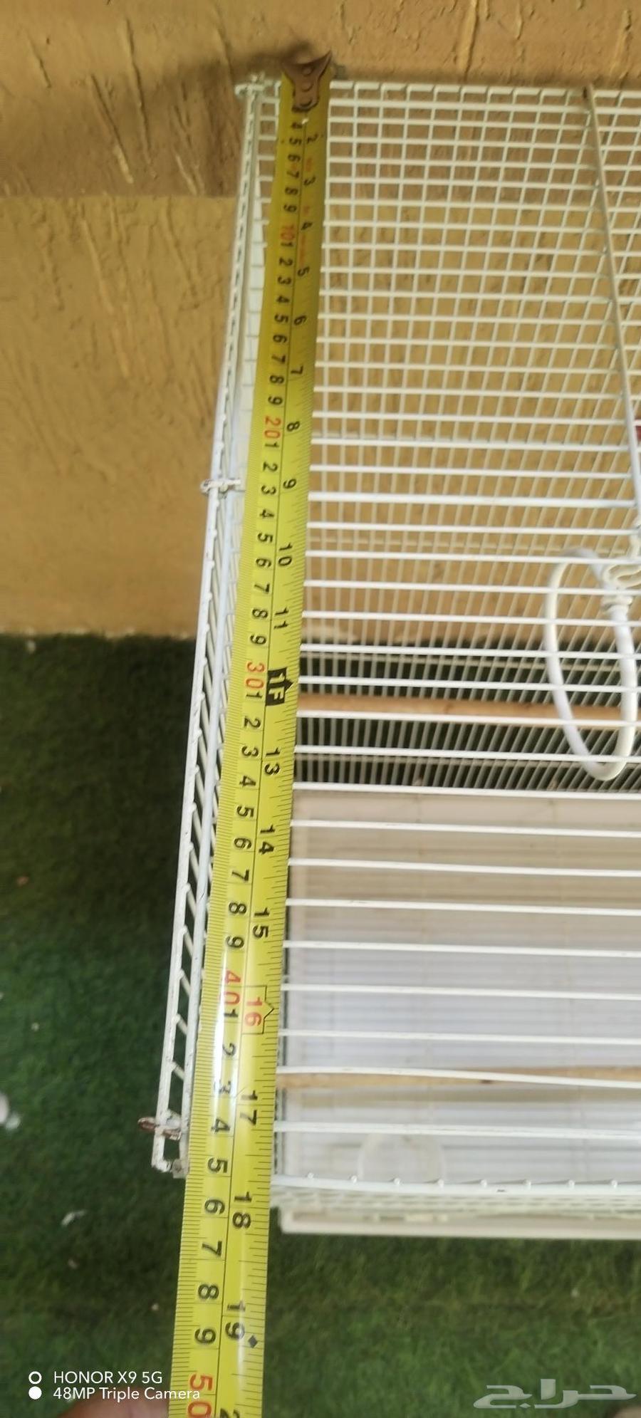 فقص طيور كبير64586514387202113