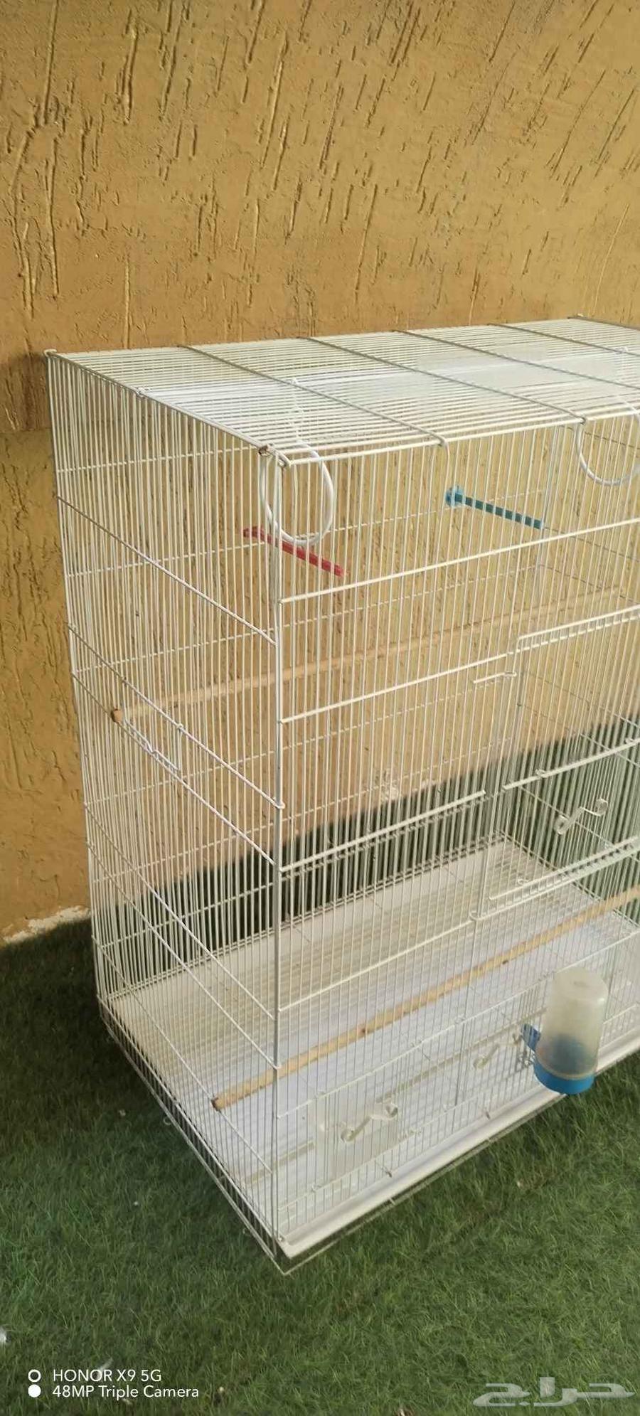 فقص طيور كبير64586514387202111